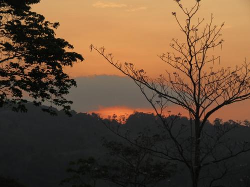 a sunset in the mountains with trees in the foreground at Vocaré Finca Agroecológica in Upala