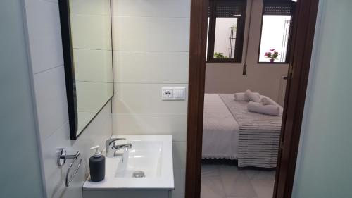 コルドバにあるApartamento entre Patios Valladaresのバスルーム(シンク、鏡、ベッド付)