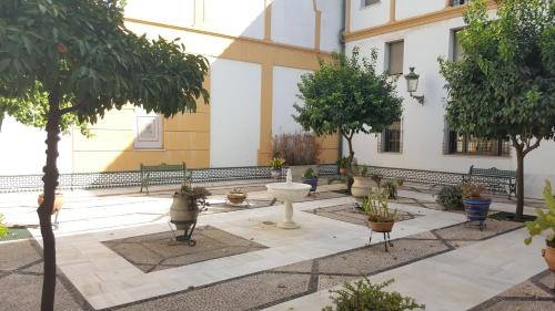 Apartamento entre Patios Valladares