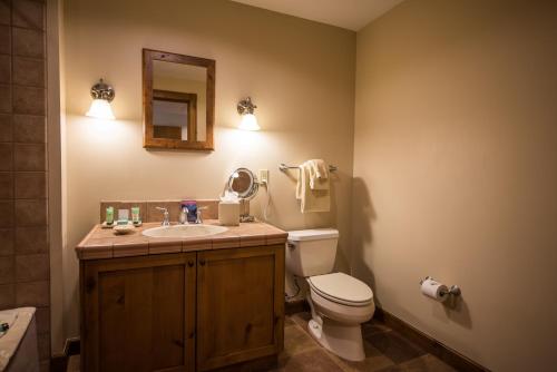 a bathroom with a toilet and a sink and a mirror at The Lodge at Mountaineer Square in Mount Crested Butte