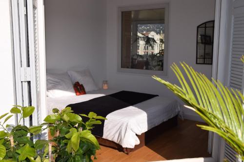 a bedroom with a bed with a mirror and plants at Appartement terrasse vue mer / nice in Nice