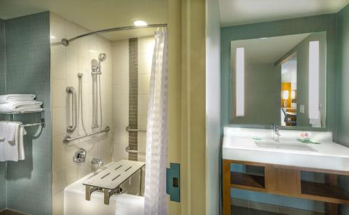 a bathroom with a sink and a shower at Hyatt Place Washington D.C./National Mall in Washington