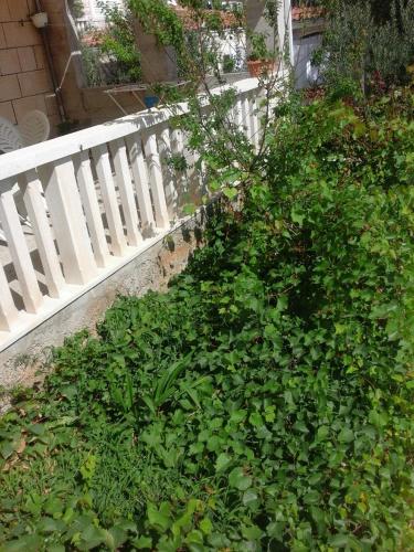 a green bush next to a white fence at Apartments Jerica in Bol