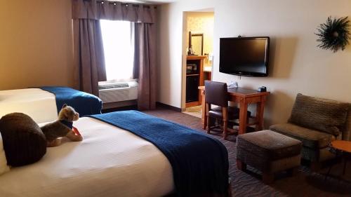 a hotel room with a dog sitting on a bed at The Rockwell Inn in Jackson