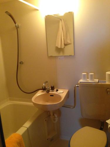 a bathroom with a sink and a toilet and a mirror at Towadako Lakeside Hotel in Towada