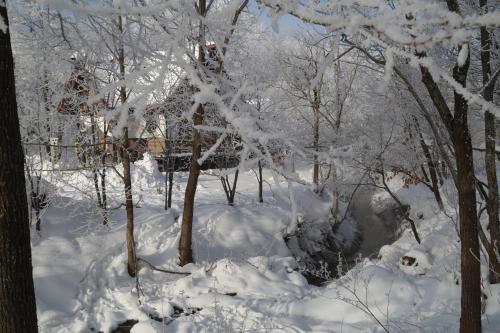 a group of trees covered in snow at ARtINn 極寒藝術伝染装置 in Teshikaga