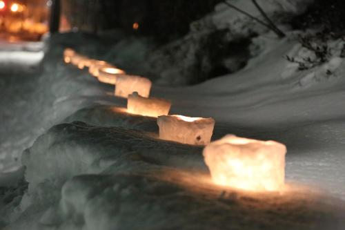 a row of lights in the snow at night at ARtINn 極寒藝術伝染装置 in Teshikaga