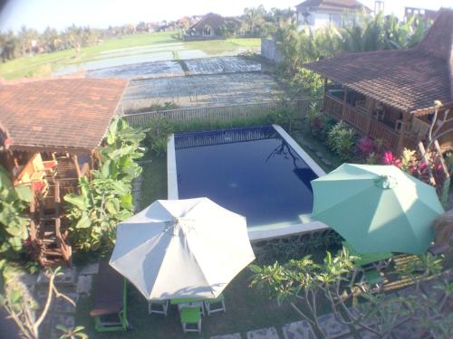 Πισίνα στο ή κοντά στο Green Paddy Hostel & Villa