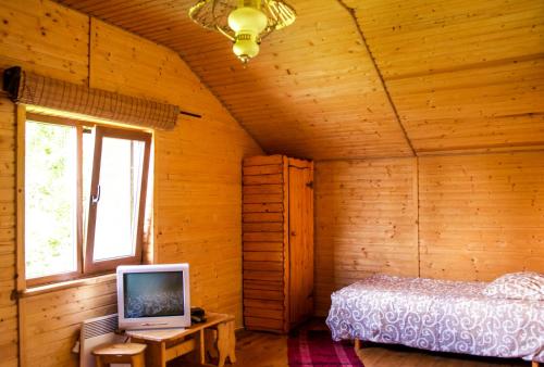 a bedroom with a bed and a tv in it at Tsisarske Urochyshe in Rozgirche