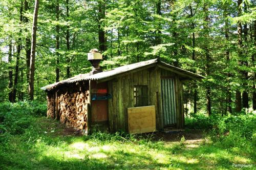 a small shed in the middle of a forest at Casa Martiko in Eugi