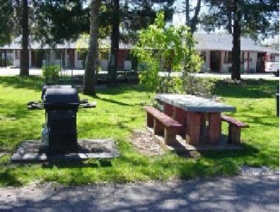 a picnic table and two benches in a park at Shasta Dam Motel in Shasta Lake