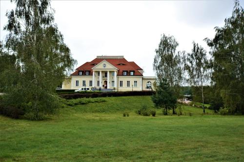 Pniewy的住宿－Dwor Osieczek，一座带草地的山丘上的大型房屋