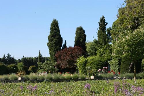 a garden with trees and flowers in the foreground at Mas de L'Ermitage in Lattes