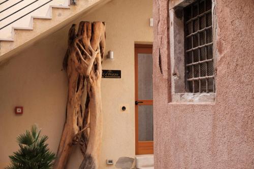 a tree root on the side of a building at Ca' Pozzo Inn in Venice