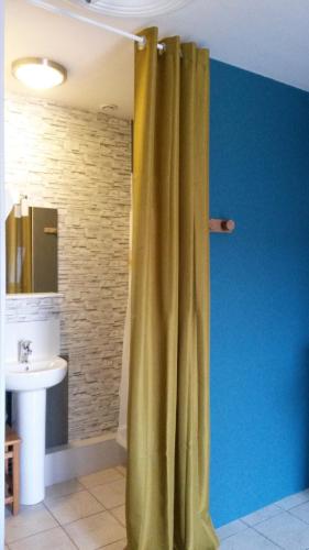 cortina de ducha en el baño con lavamanos en Route de voivres, en La Suze-sur-Sarthe