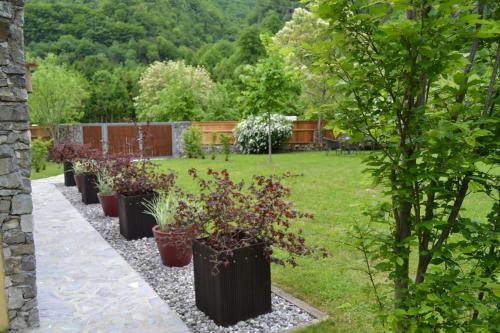 a row of potted plants in a garden at Počitniška hiša Lazar in Kobarid
