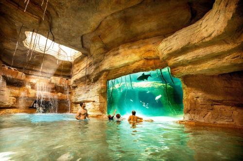 a group of people in the water in a swimming pool at The Reef at Atlantis in Nassau
