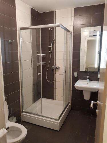 a bathroom with a shower and a toilet and a sink at Apartment Mimi in Herceg-Novi