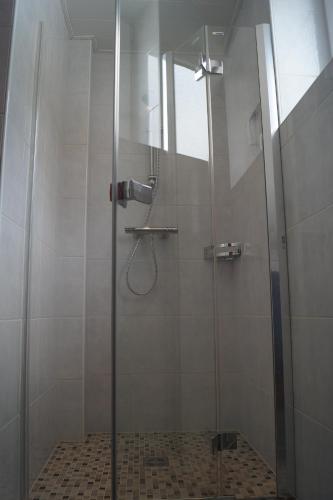 una doccia con porta in vetro in bagno di Pension Dürregger a Flattach