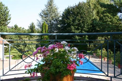 un pot de fleurs sur un balcon avec une piscine dans l'établissement Bois Joli de la Freyère, à Hindisheim