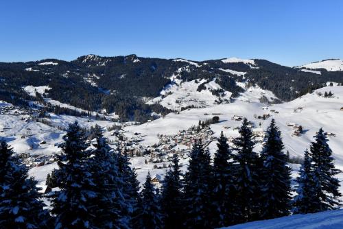 a view of a snow covered mountain with trees at Roggenstock Lodge in Oberiberg