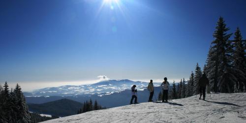 a group of people standing on top of a snow covered mountain at Hotel Schwengerer in Mönichwald