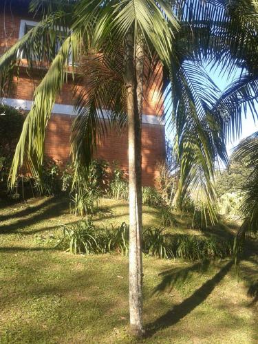 a palm tree in a yard next to a building at Refúgio Pasárgada Guest House in Mairiporã