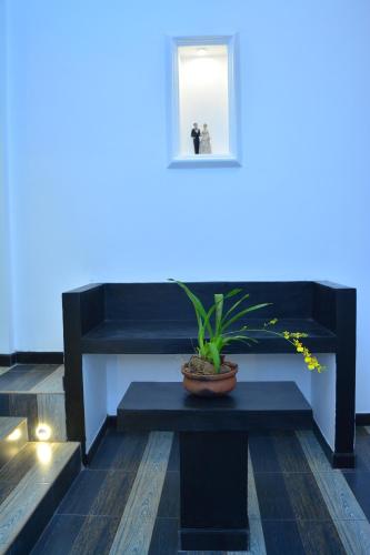 a black bench with a potted plant on it at Midigama Holiday Inn in Midigama