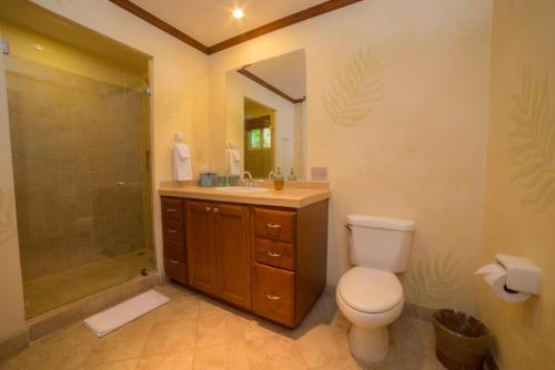 a bathroom with a toilet and a shower and a sink at Veranda 8F 2 bdr Garden View in Los Suenos in Herradura