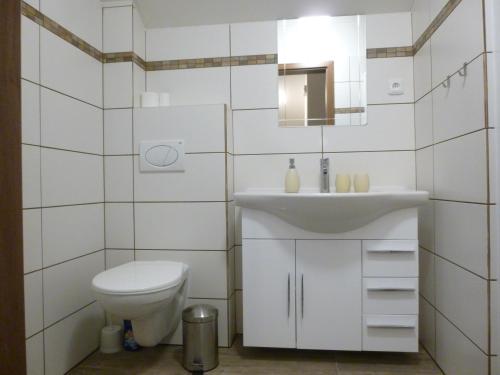 ヴェルケー・ビーロヴィツェにあるUbytovani Valentoviの白いバスルーム(トイレ、シンク付)
