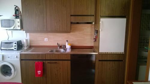 eine kleine Küche mit Spüle und Kühlschrank in der Unterkunft Bijou Hofstetten in Hofstetten 