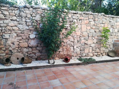 a stone wall with a plant growing on it at La Herreria de Esteban in Cuevas Labradas