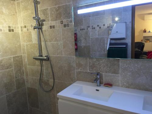 ein Bad mit einer Dusche, einem Waschbecken und einem Spiegel in der Unterkunft Villa l'Olivier in Cagnes-sur-Mer