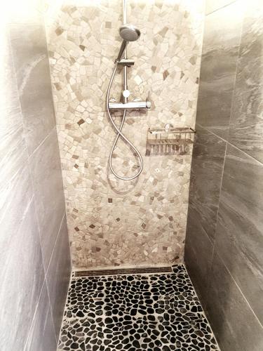 a shower with a shower head in a bathroom at Ein Trip in die Natur in Bollendorf