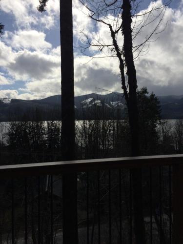 Cottonwood – Photos 5