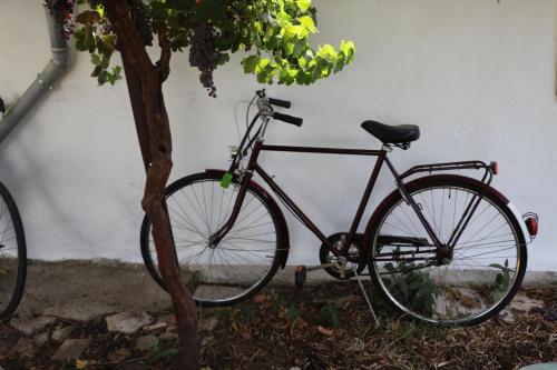 Катання на велосипеді по території Casa Dos Livres або околицях