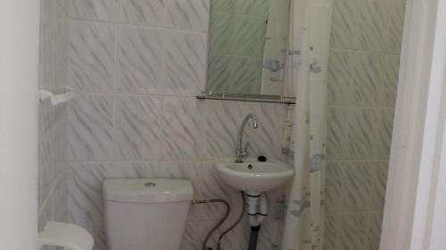 a bathroom with a toilet and a sink and a mirror at Hofste appartementen in Paramaribo