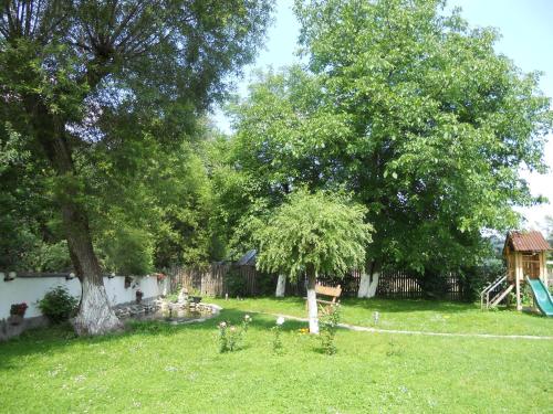 a yard with a tree and a playground at Vila Silvana in Moieciu de Jos