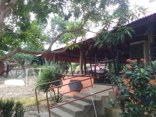 Zahrada ubytování Hostel Finca La Gordita