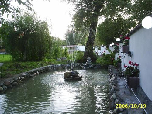 a pond with a fountain in the middle of a yard at Vila Silvana in Moieciu de Jos