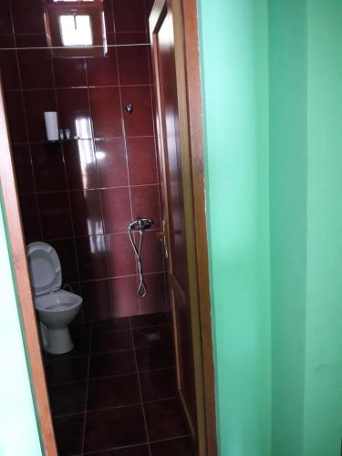 y baño con aseo y cabina de ducha. en Sarpi In en Gonio