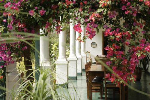 a room with pink flowers hanging from columns at York Lodge in Harare
