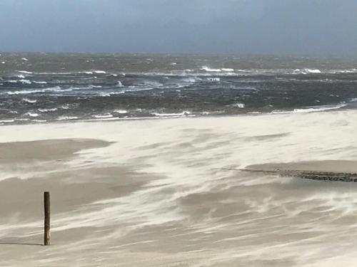 a beach with a pole in the sand and the ocean at Atlantic Hotel Garni in Wangerooge