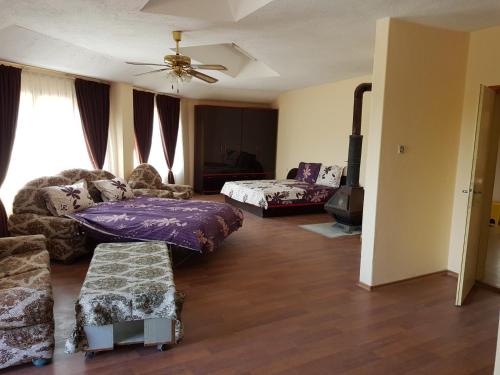 Guest House Sadovo في Sadovo: غرفة معيشة مع أريكة وسرير