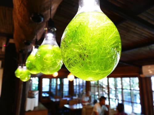 Zhou Ye Cottageにあるレストランまたは飲食店