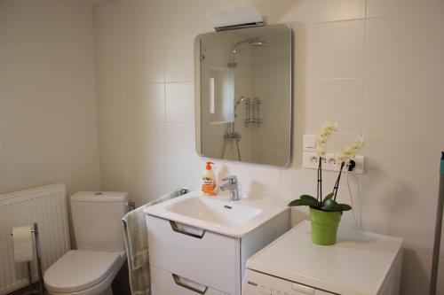 Ένα μπάνιο στο chez salome et fritz