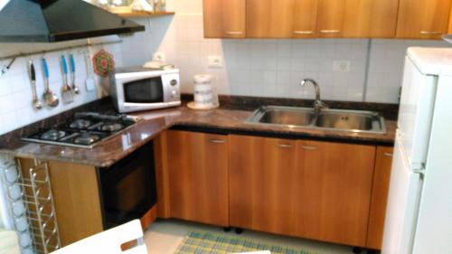 La cuisine est équipée d'un évier et d'un four micro-ondes. dans l'établissement Casa C&C, à Termoli