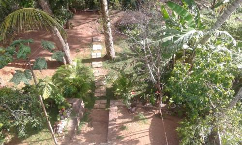 an overhead view of a garden with trees and plants at Arazo villa in Unawatuna
