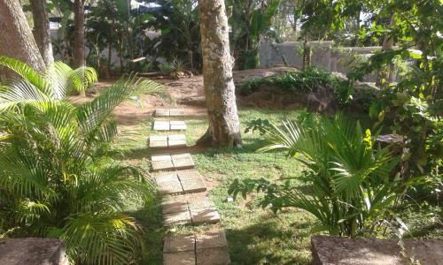 a path in a garden with trees and plants at Arazo villa in Unawatuna