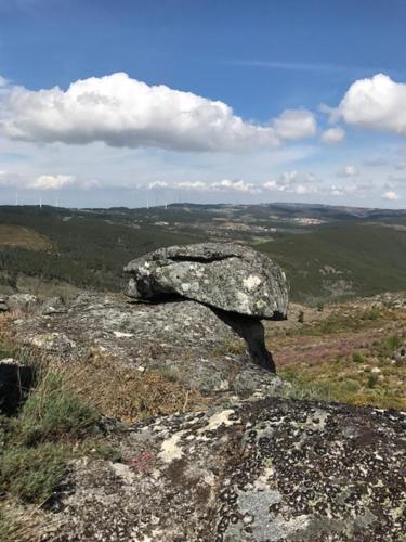 Φυσικό τοπίο κοντά σε αυτό το κατάλυμα σε φάρμα